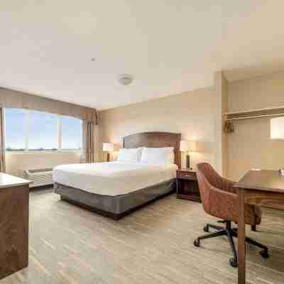 Holiday Inn LETHBRIDGE by IHG Rooms