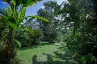 Thuru Sewana Villa Hotels in Pilana