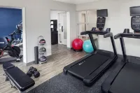 Hampton Inn Atlanta-Northlake - Træningscentre
