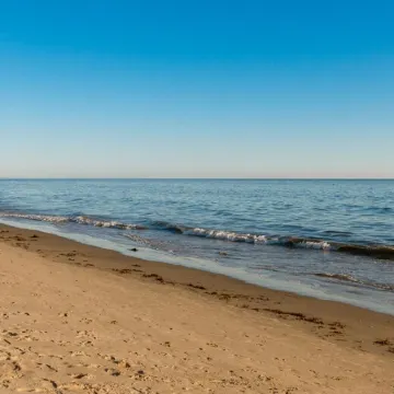 Best Deal in Carpinteria!