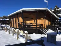 Half wooden CHALET in a clearing in Pyrenees 2000