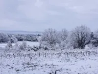 Rental cottage in Bédoin at the foot of Mont Ventoux Hotels in Bedoin