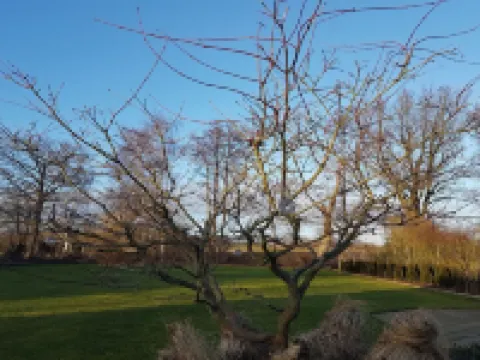 Apartment Auszeit in Seevetal,close to town,quiet,garden,WLAN,up to 2 persons Hotels in Seevetal