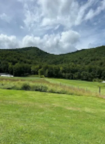 Waterfront cabin with mountain views; 26 minutes to downtown Asheville.