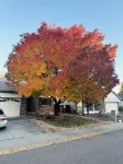 Large basement apartment, private living room, bathroom & kitchenette