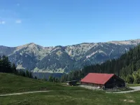 Beautiful feel-good apartment Bergwiese 35sqm, south-facing balcony/terrace, Allgäu, dogs allowed Hotel a Balderschwang