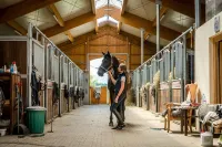 Fantastic "Hochgern" vacation apartment on the Fasanenhöhe horse farm