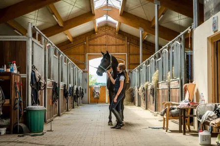 Fantastic "Hochgern" vacation apartment on the Fasanenhöhe horse farm