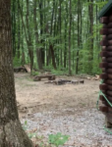1 Bedroom,1 Bath, Porch, Fire Pit, Grill, Beautiful Wooded Location, Wi-Fi also!