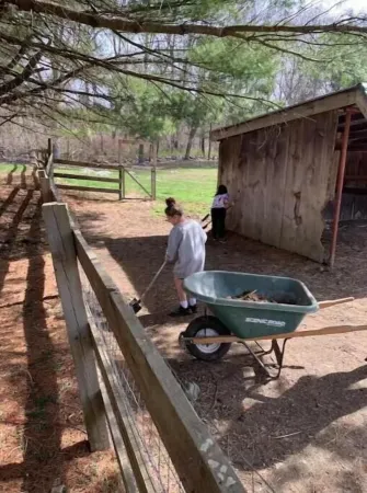 Wizard's Roost at Underhill Hollow