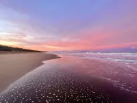 Apartment Torre. Beautiful garden, AC, 2 bedrooms 1 bathroom, near the sea. Hotels in Castagneto Carducci