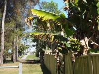 Coastal cottage, walk to surf, sand, town, cafes, bars, just north of Forster.