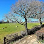 Peaceful cottage nr Ludlow & Leominster, newly renovated, large garden & orchard