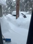 Secluded Cabin near Wild Basin