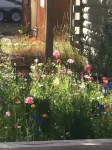Cozy Cabin Just Minutes from Yellowstone. Book Now for Your Summer Stay!