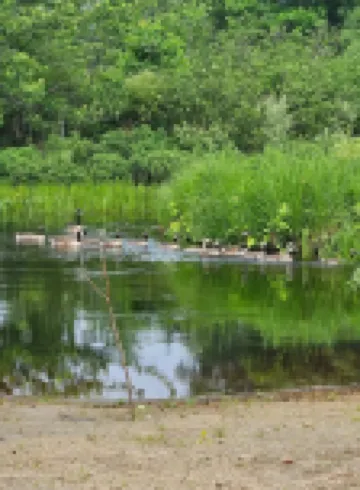 Cozy ADK Cabin in Tupper Lake - New Build