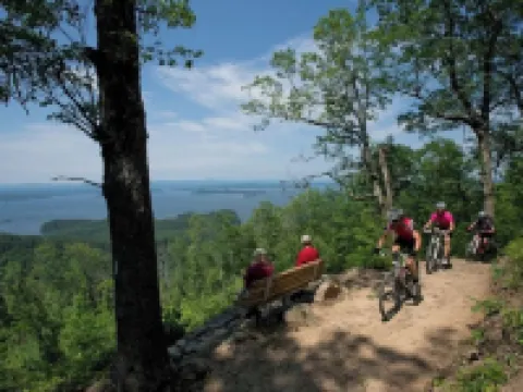 Spring Stone House Escape- Sleeps 10 Hotels in Mena