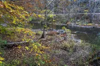 Luxury Villa 102  with river access