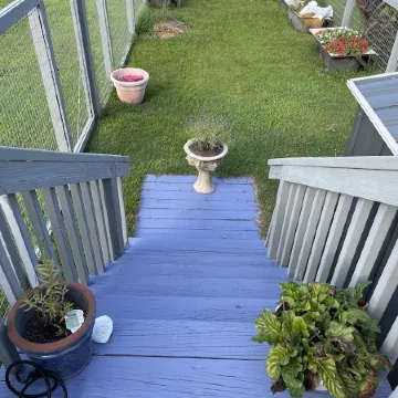 Coastal Daze Cottage on Famous Chincoteague Island! Come see the wild ponies!