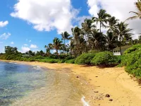 Large Gated Oceanfront Estate ~ Secluded on a beach, safe all year TVNC-4185 アナホラのホテル