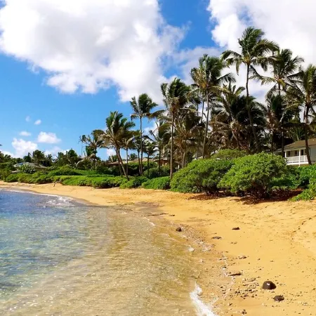 Large Gated Oceanfront Estate ~ Secluded on a beach, safe all year TVNC-4185