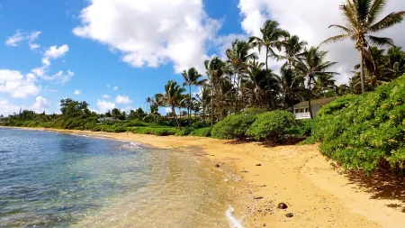 Large Gated Oceanfront Estate ~ Secluded on a beach, safe all year TVNC-4185