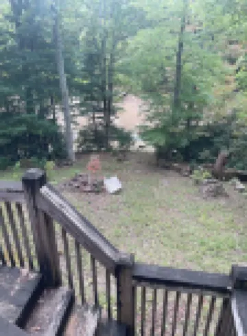 Cozy cabin for 4, 2 King size beds.  Porch with view of lake. Full kitchen.