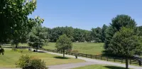 Tranquil Mountain Cottage (Wheelchair Accessible)