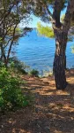 Ravissant Studio Très Bien Équipé à 100 m de la Plage !