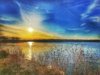 Pet Friendly 50) 2b/1b Cottage with Large Yard Just Off the Lake! - 3-Star