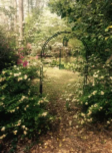 Carriage House Villa and gardens in downtown historic Lexington SC