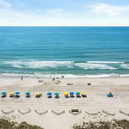 -Newly Remodeled- 11th Floor Oceanfront, King Bed, Amazing Views, Multiple Pools