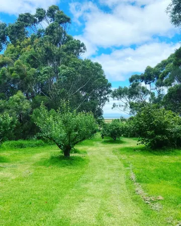 Cottage on orchard acreage with ocean views