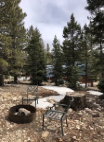 🏔Log Cabin Oasis w/hot tub and movie loft🏜