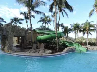 Palm Beach Marriott Resort & Spa, 2 Bd/2ba,  Great Ocean View - Now Available - 비치