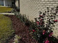 Cozy Southern Charm in Houma Hotels in Houma