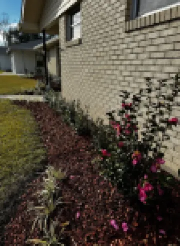 Cozy Southern Charm in Houma