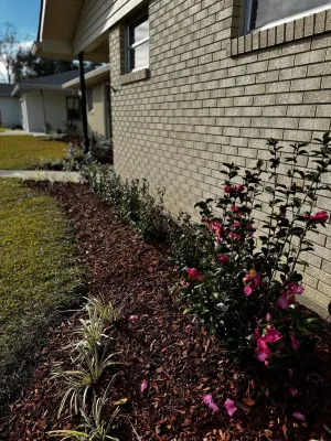 Cozy Southern Charm in Houma Hotels in Houma