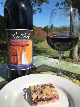 Escape to Nature: Lake of Egypt Airstream Stay with Hiking and Wineries Nearby