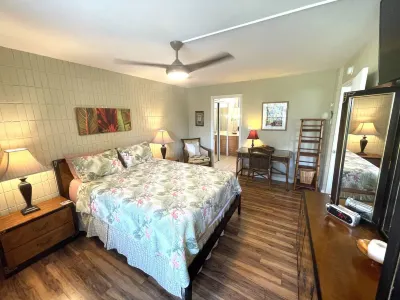 Maui Condo Steps from the Beach--Mountain Views and Partial Ocean View