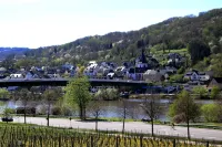 New Moselle holiday home Greene Knubbe, detached, quiet, on a sunny slope