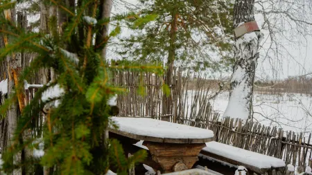 Отель Лесная Cкаzка