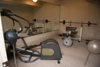 Private Luxury Retreat: In-home Theatre, Hot Tub, Gym, Game Room, and Zebra! - Gym