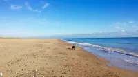Beachside Cottage overlooking sand dunes (Winterton on Sea) - Country Houses