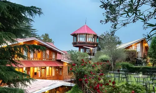 The Chalets Naldehra