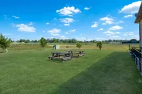 Super 8 by Wyndham Kokomo Hotels in Kokomo