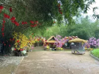 Bobo Glamping Hotels in Điện An