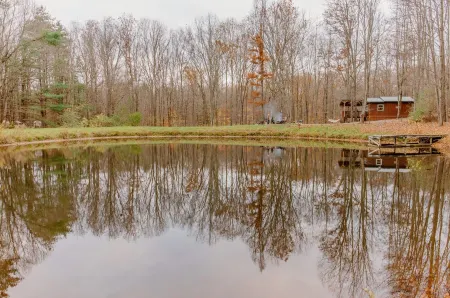 Cozy Cabin with private woods in charming Rock Stream NY.