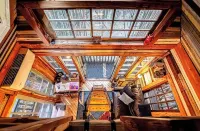 Alpaca Treehouse in the Bamboo Forest