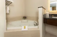DoubleTree by Hilton Hotel Savannah Historic District - Hot Tub